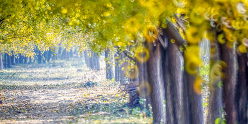 Similar image 11796234