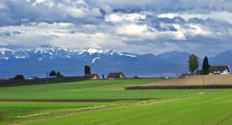 Similar image 11796296