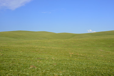 Similar image 11796491