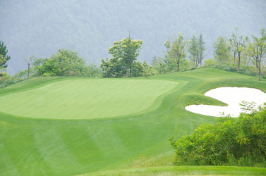 Similar image 11796755