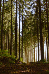 Similar image 11796783