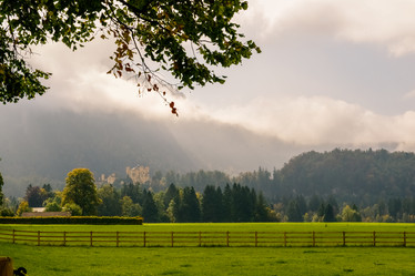 Similar image 11796862