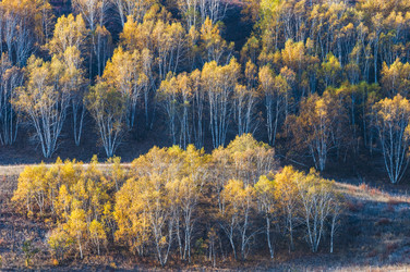 Similar image 11796615