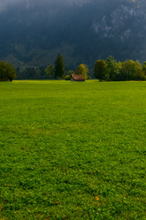 Similar image 11797056