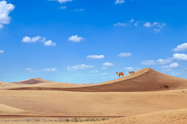 Similar image 11797334