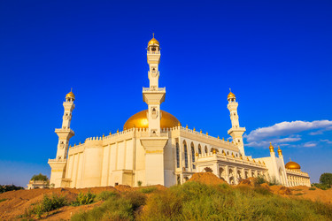 Similar image 11797447