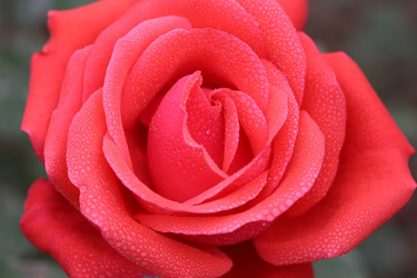 Similar image 11797724