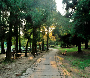 Similar image 11797799