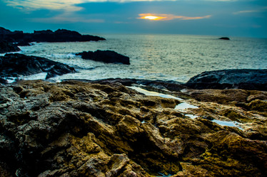 Similar image 11798159