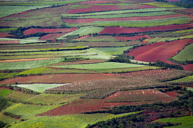 Similar image 11798240