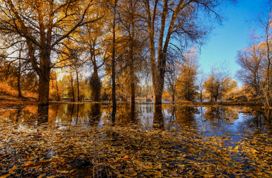 Similar image 11798520