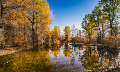 Similar image 11798569