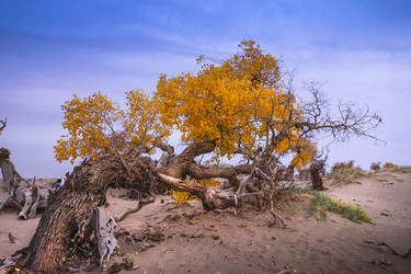 Similar image 11798615