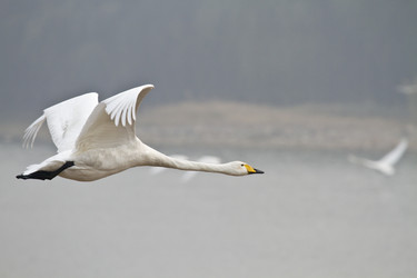 Similar image 11798994