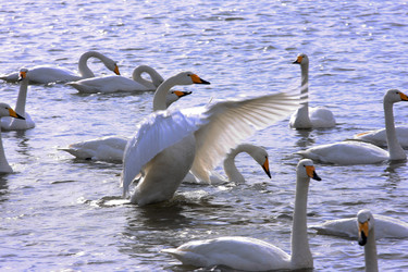 Similar image 11799026