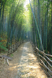 Similar image 11799155