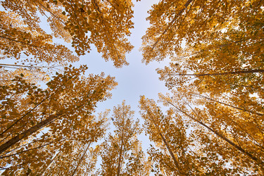 Similar image 11799284