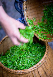 Similar image 11799353