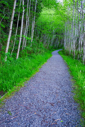 Similar image 11786043