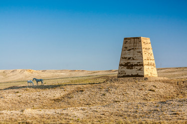 Similar image 11786526