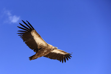 Similar image 11786682