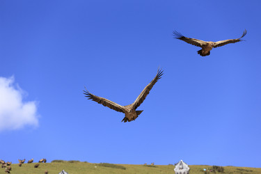 Similar image 11786718