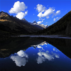 Similar image 11787288