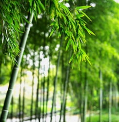 Similar image 11787392