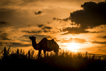 Similar image 11787760