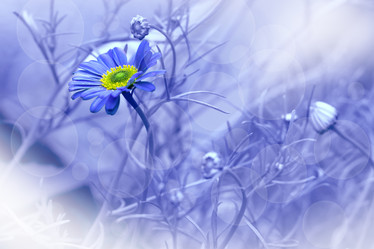 Similar image 11787917