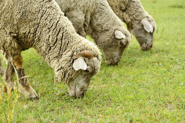 Similar image 11787993