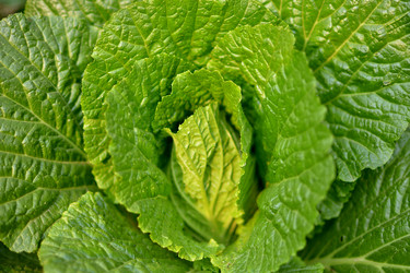 Similar image 11788300