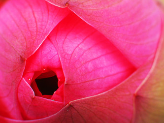 Similar image 11788090