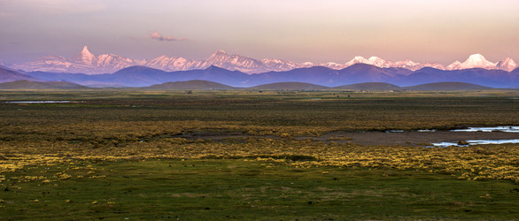 Similar image 11788123