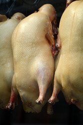 Similar image 11788466