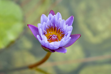 Similar image 11788784