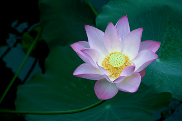 Similar image 11788844