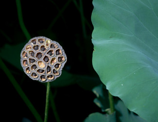 Similar image 11788976