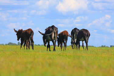 Similar image 11789250