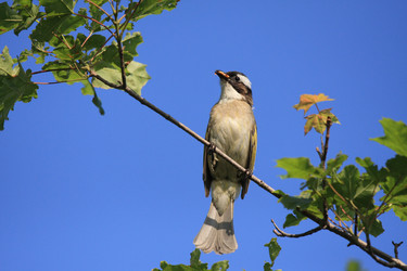 Similar image 11789312