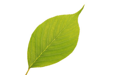 Similar image 11789892