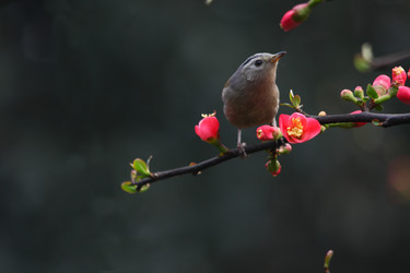 Similar image 11789925