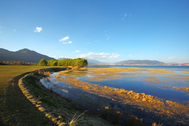 Similar image 11793426