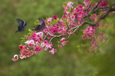 Similar image 11793858