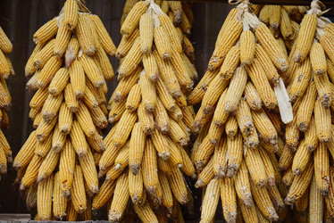 Similar image 11793922