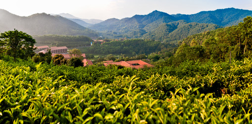 Similar image 11794028