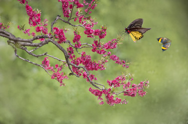 Similar image 11794927