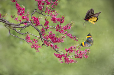 Similar image 11794968