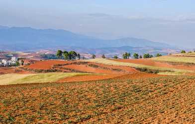 Similar image 11795917