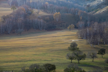 Similar image 11796139